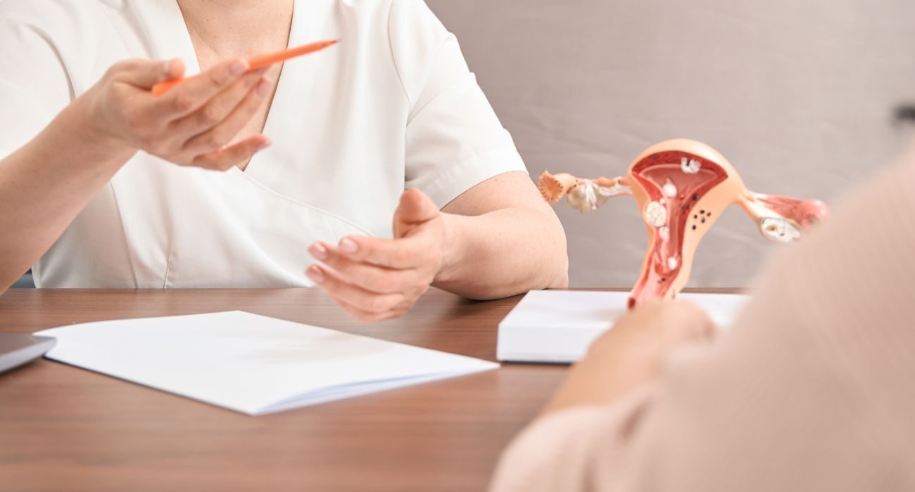 Consultation: model of the uterus and ultrasound images on the desk