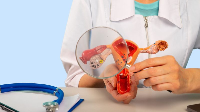 Doctor examining a model of the uterus and ovaries with a magnifying glass