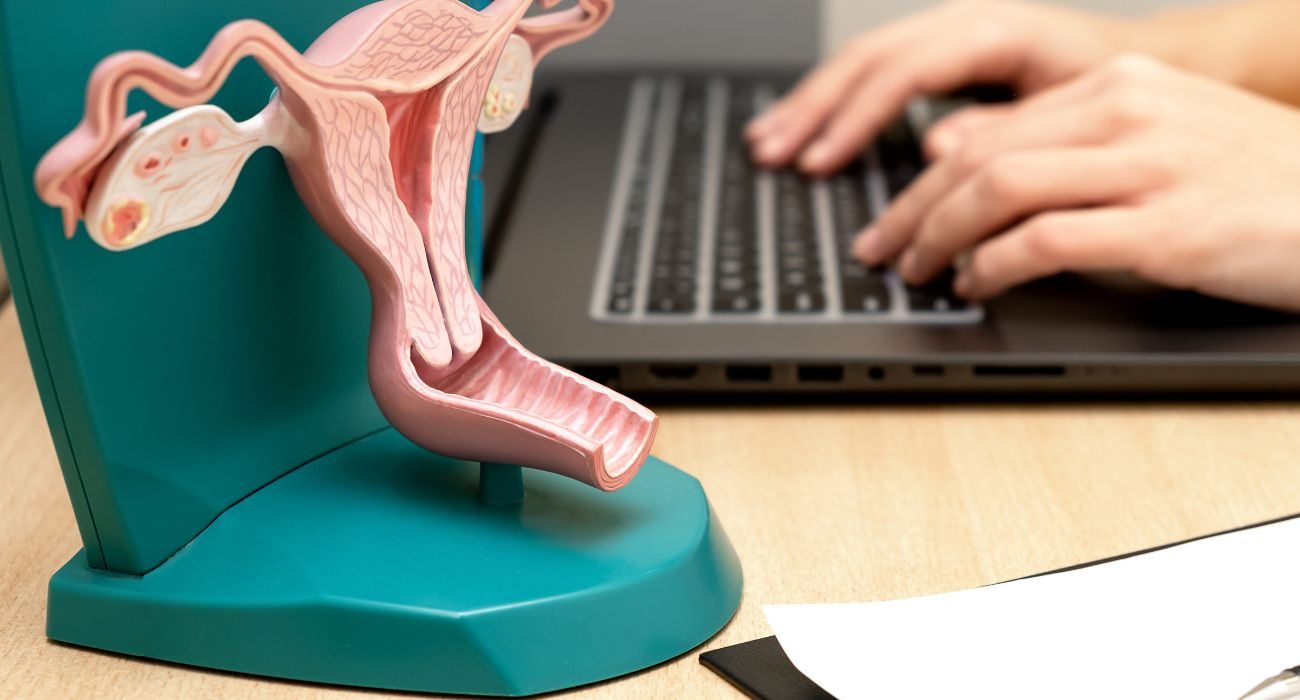 Anatomical model of the uterus in front of a computer